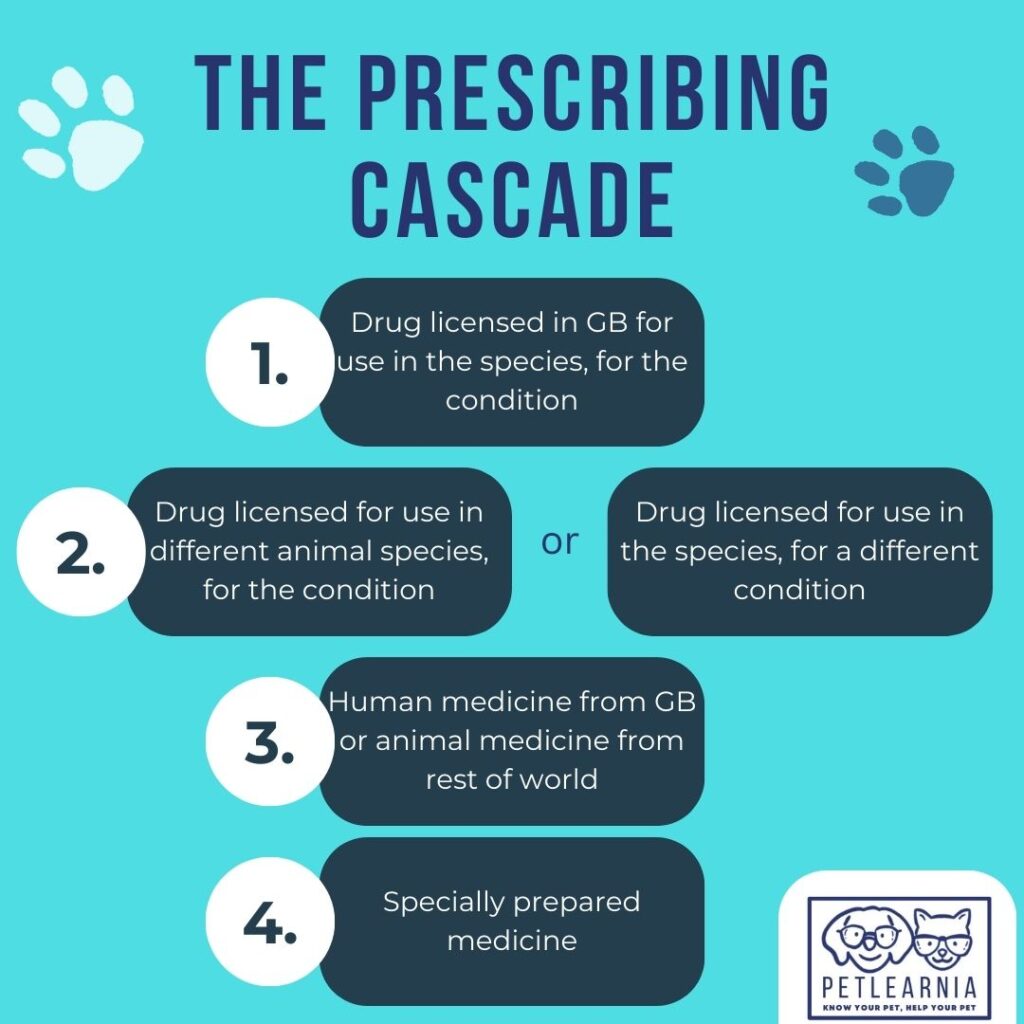 The prescribing cascade for vet drugs can explain why pet medications are expensive