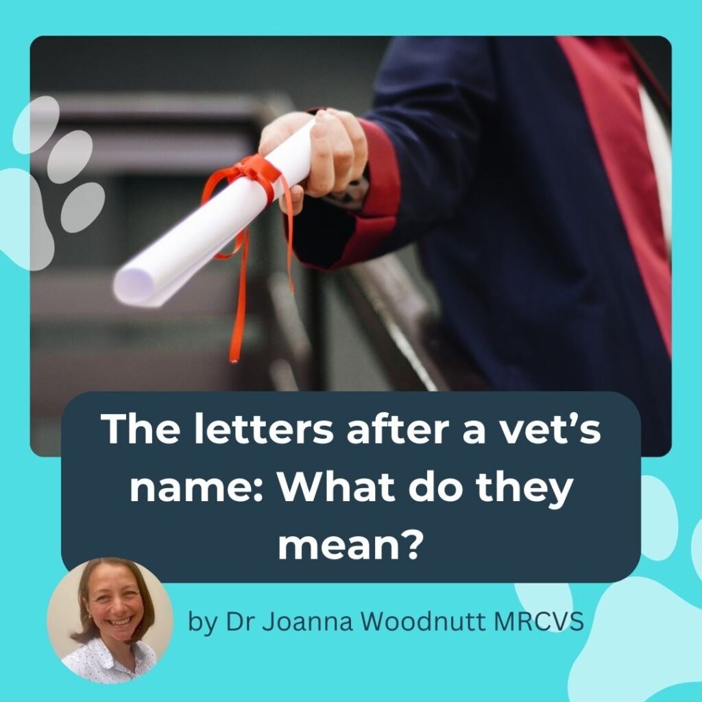 We explain what the letters after a vet's name mean in this article