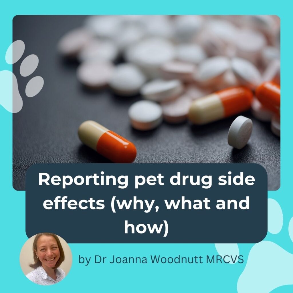 Reporting pet drug side effects to the VMD helps improve medicines information. Find out how to do it here