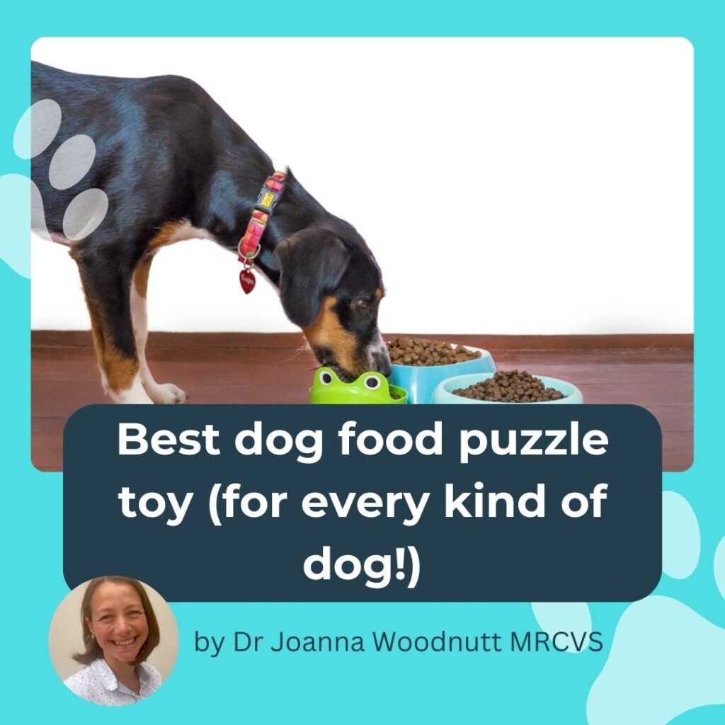 The best dog food puzzle toy is just a click away