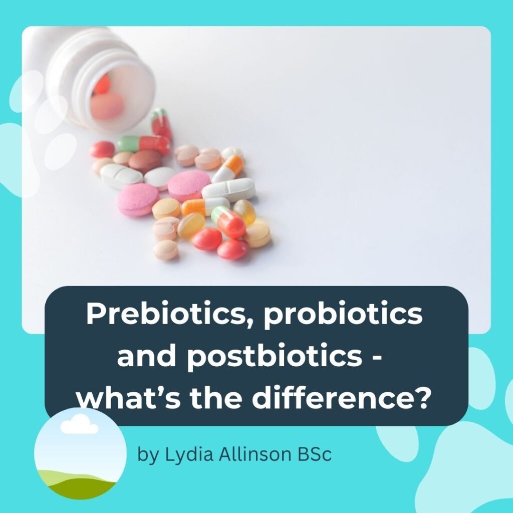 A bottle of pills - are they prebiotics or probiotics for dogs, and what's the difference?