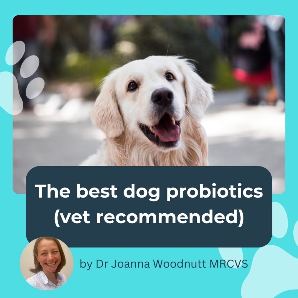 A golden retriever, on a sign saying 'the best dog probiotics'